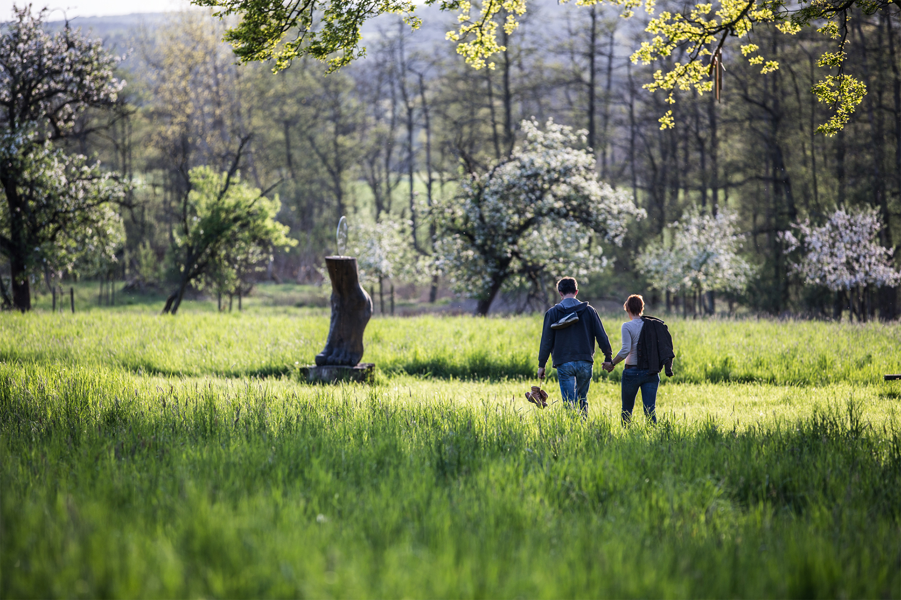Quelle „Barfußpark Lüneburger Heide“